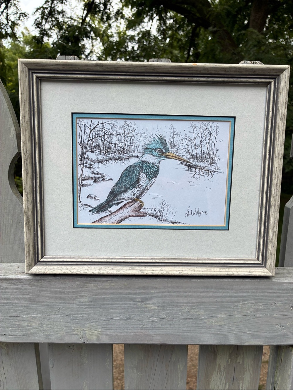 Robert McGee Canadian Artist Pen and Ink Framed Illustration Kingfisher Bird